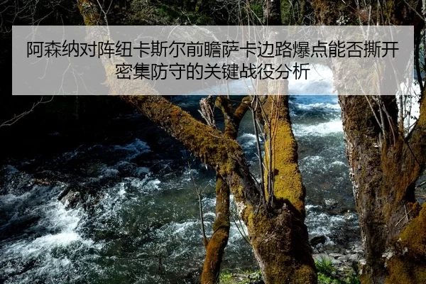 阿森纳对阵纽卡斯尔前瞻萨卡边路爆点能否撕开密集防守的关键战役分析