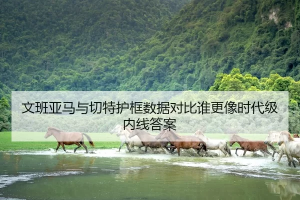 文班亚马与切特护框数据对比谁更像时代级内线答案