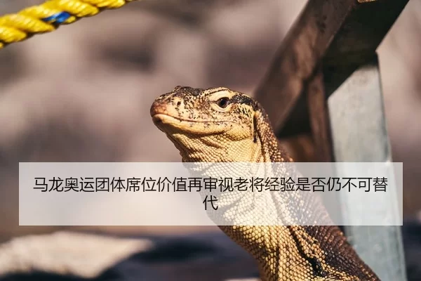 马龙奥运团体席位价值再审视老将经验是否仍不可替代